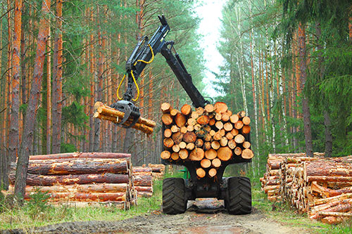 Showcase your forestry construction business to Halifax and surrounding area customers.