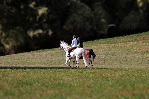Advertise your Halifax area activities to residents and tourists alike.