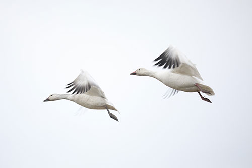 Showcasea your Halifax area Travel Agency services to local residents and businesses.